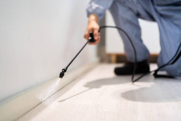Licensed Pest Control service in Centreville, IL - Show Me Pest Control
