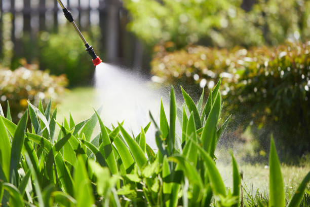 24/7 Emergency Mosquito Control experts in Centreville, IL
