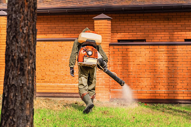 Top rated local Mosquito Control specialists in Centreville, IL